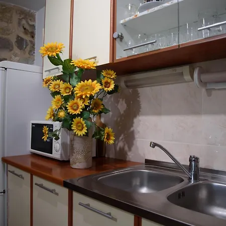 Apartment Cvitini Dvori Garjak *