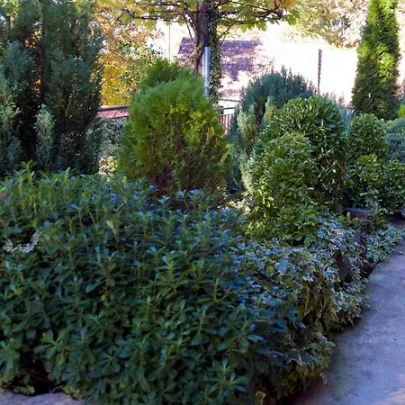 Apartment Cvitini Dvori Garjak